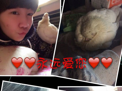 ������Ů��ϣ����������һ������(ͼ)