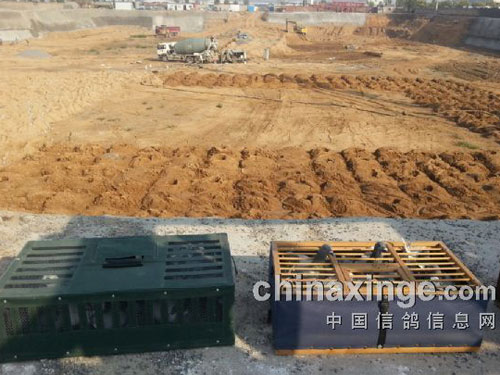 ����˽ѵ�ѣ����طŸ��о�ϲ(ͼ)