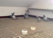 ˭˵���᲻�ܸɸɾ�����(ͼ)