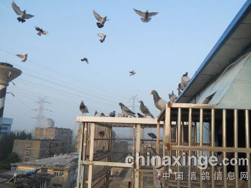 ������Ȥ��������Ĵ������(ͼ)