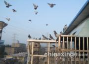 ������Ȥ��������Ĵ������(ͼ)