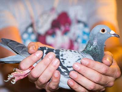 ����ʱ�չ�վ�����ע�������ھ����(ͼ)