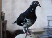 ������Ѱ��Ϲԣ�Ϊ��Զ��ͬ��(ͼ)