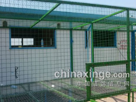 �����ѱ� ֻǷ����(ͼ)