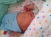 ��Ůϲ���� ��������С�ơ�(ͼ)