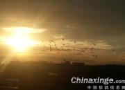 ���������������еļҷ�(ͼ)