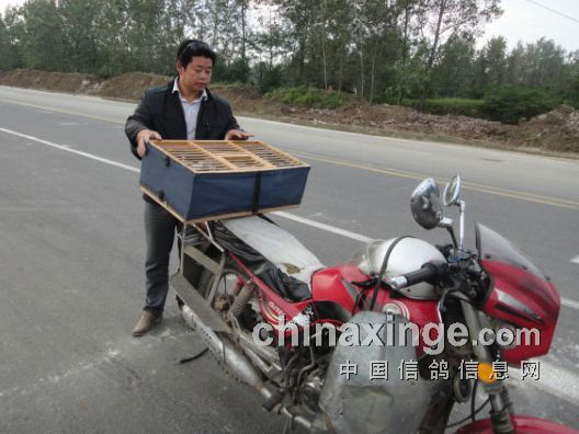 Ħ����ѵ30���� ˳���鳲(ͼ)