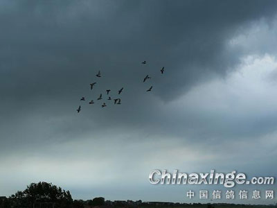 ������ǰ�ҷ�(ͼ)