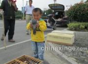 ѵ�룺�Ҽ���������ҲҪȥ(ͼ)