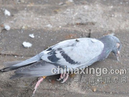 ���ˮ�㡱���������޲�(ͼ)