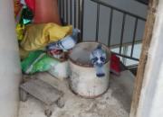 ƶ�������� ûι����͵��(ͼ)