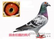 һ�����Ϊʲô������Ƭ��һ��(ͼ)