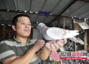 ɽ�����ѣ���ͨ���� ���Ƴ���