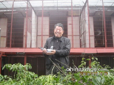 �人Ӯ��֮˫ϲ����������