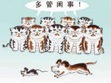 �����ѵ��ˮ��������� �����Ʊ�������