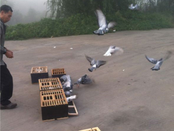 Ũ����30���� 2Сʱ��2(ͼ)