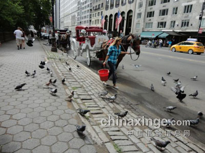 ��˼·���������ָ�������Ʒ�ָ룿(ͼ)