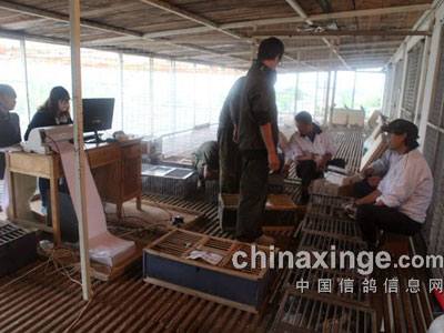 �����������������ʵ(ͼ)