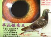 ���봫��֮1700����ðѩ��(ͼ)