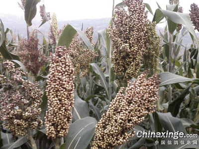 Ϊ������ ��ͣѵ��