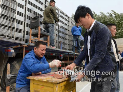 ���ѹش�Ӳ��  ͨ�ɵ�7վ5696��ȫ�߳���(ͼ)