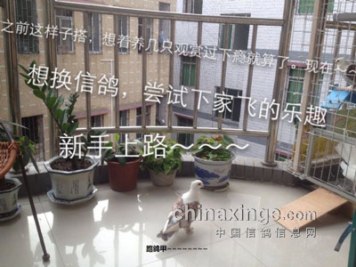 ���֣���̨����������(ͼ)