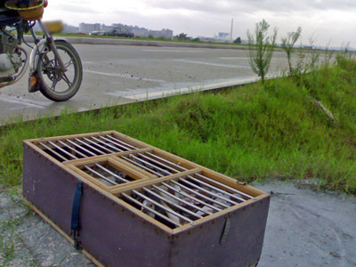 �����ĸ�����100����˽ѵ 70��ʧ50��