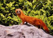 �����Ļ��������Ǽ����� 