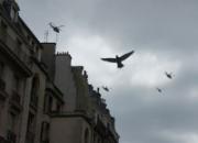 �ָ���ġ���ŷ�޼���֮��(ͼ)