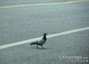 ������ҲҪ�ء��ҡ�(ͼ)