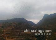 �����ܲ�ѵ��ţ���(ͼ)