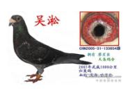 ���ȹ��� ɹɹ��Ѫ�����(ͼ)