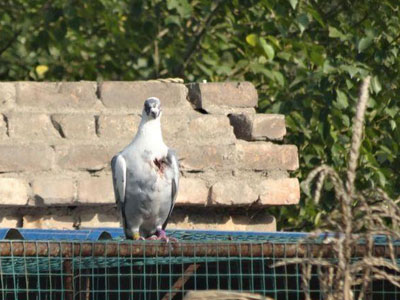 �ҵľ����գ�Ԥ��ǰ��ǿ��(ͼ)