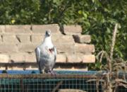 �ҵľ����գ�Ԥ��ǰ��ǿ��(ͼ)