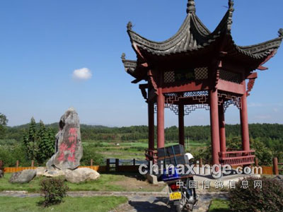 ����ڡ��񱼡�