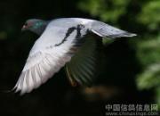 3�عھ�������������ӻ�