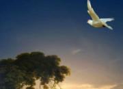 �鳲�룺С�����벻Ҫ������