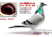 ��ʢ�������4126��ǰʮ����Ƭ(ͼ)