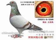 ������������ʵĳٹ��