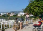 С��ѵ�룺�����зŷ�(ͼ)