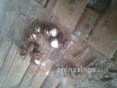 �����ٲ��������������ķ��仯(ͼ)