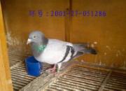 14�������䣺��������ߴ���(ͼ)