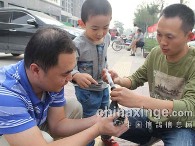 �����������ֲ���ˮ������ھ�(ͼ)