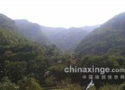 ����һ���Ĵ�ѵ��(ͼ)