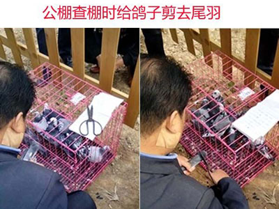 ������ȥβ��Ϊ�İ㣿(ͼ)