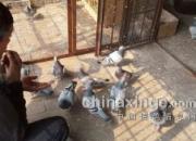 �Һ������ˣ�û�˷���������(ͼ)