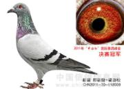 �������衰�����ھ���������У�(ͼ)