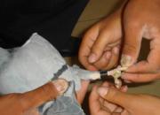 �����ر��������񽱱�����AB��