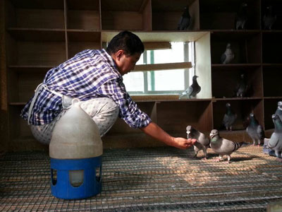 �꾮�����רҵ���������ΰ(ͼ)