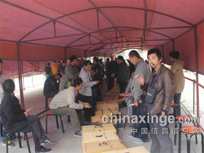 �����������ֲ��ڶ��ر�������(ͼ)